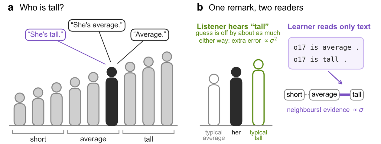 Left: figures ordered by height, with one figure near the tall/average boundary called tall by one speaker and average by others. Right: a listener told tall guesses a little wrong either way, while a learner who reads both sentences learns that average and tall are neighbouring categories.